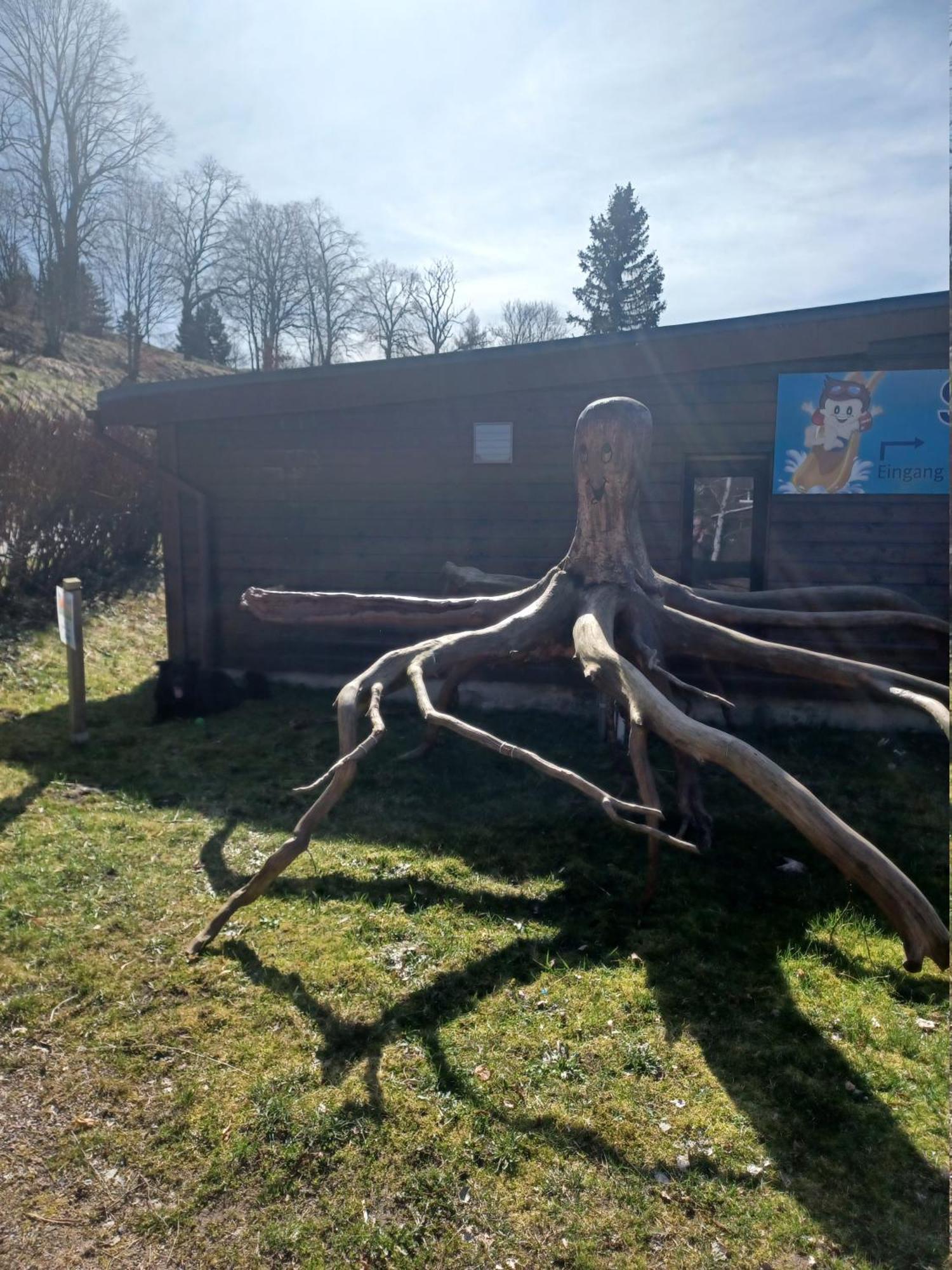 Ferienwohnung Am Schloss Lauenstein Im Erzgebirge エクステリア 写真